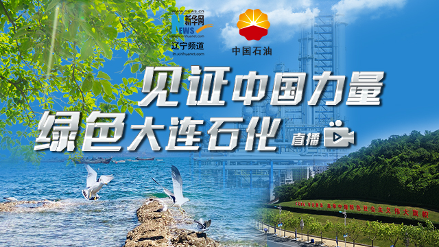 看检修之后大连石化的崭新状态