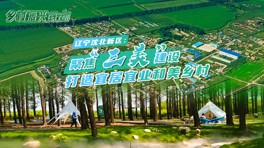 乡村振兴在行动丨辽宁沈北新区：聚焦“三美”建设 打造宜居宜业和美乡村