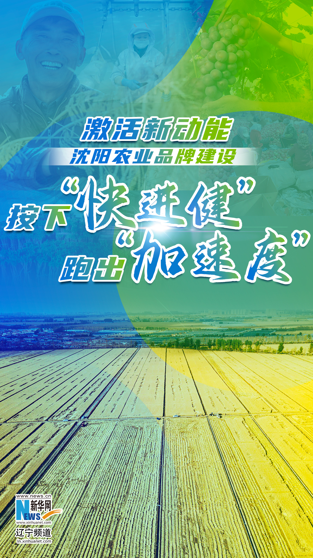 激活新动能 沈阳农业品牌建设按下“快进键” 跑出“加速度”