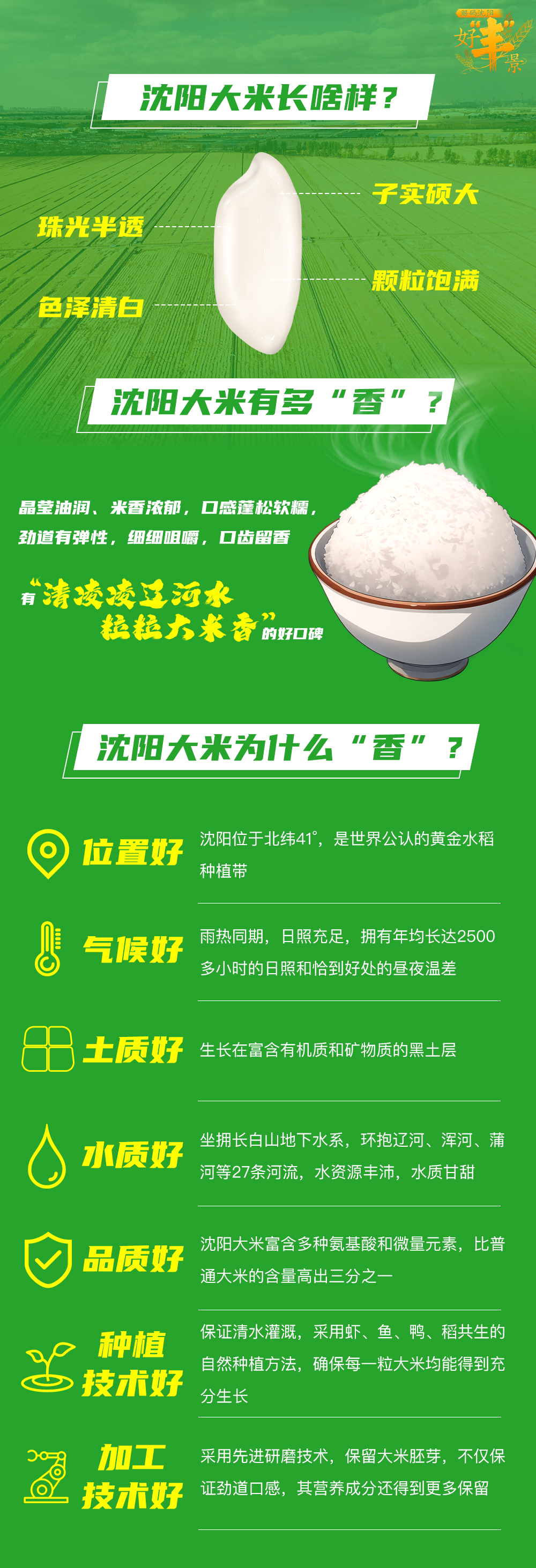 解码沈阳好“丰”景丨从“米袋子”到“钱袋子”