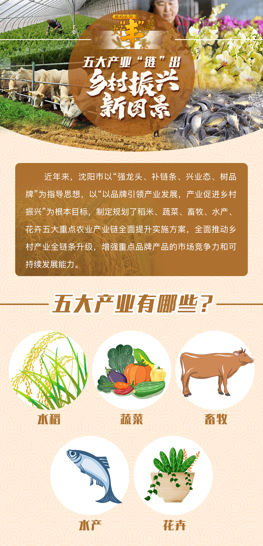 解码沈阳好“丰”景丨五大产业“链”出乡村振兴新图景