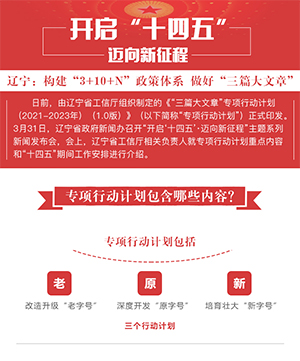 辽宁：构建“3+10+N”政策体系 做好“三篇大文章”