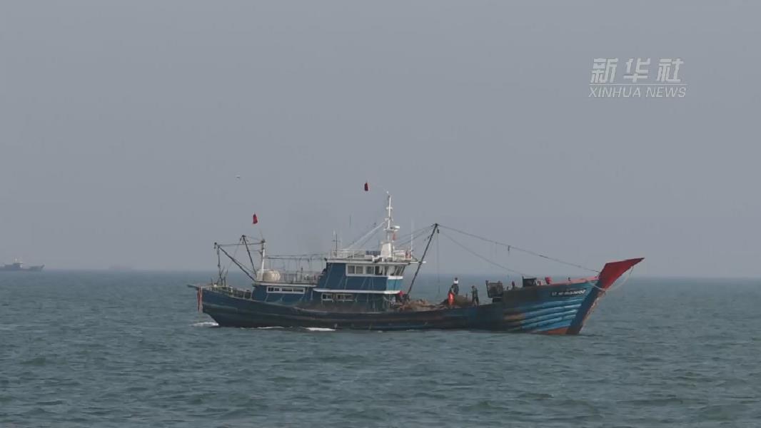 “中国海蜇之乡”：记者带你感受海蜇丰收季