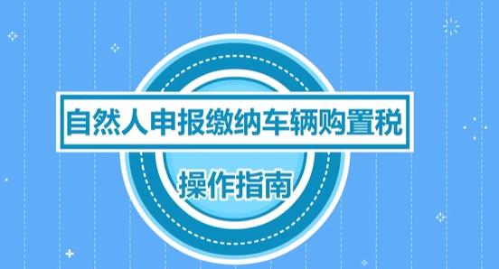 微视频：申报缴纳车辆购置税操作指南